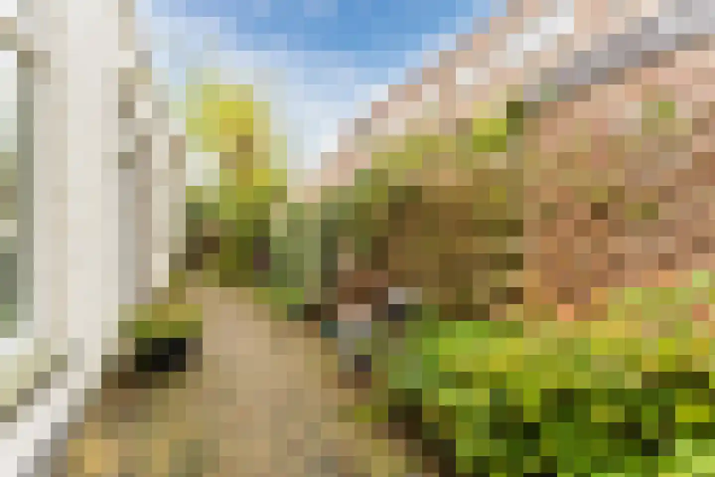 Jutfaseweg 173 Utrecht thumbnail 19