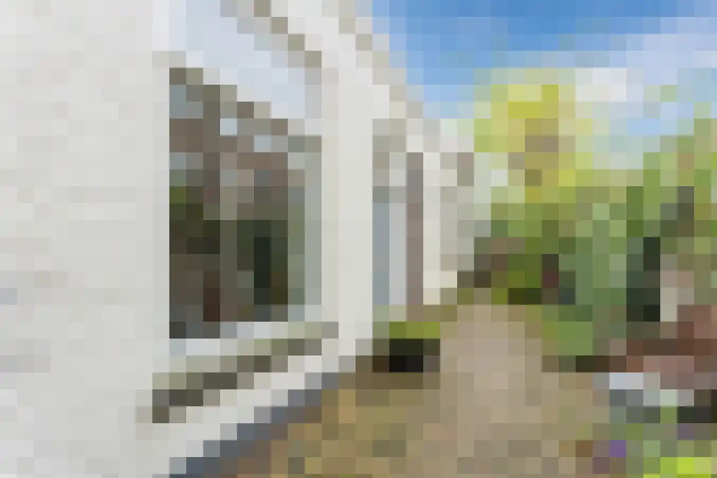 Jutfaseweg 173 Utrecht thumbnail 21