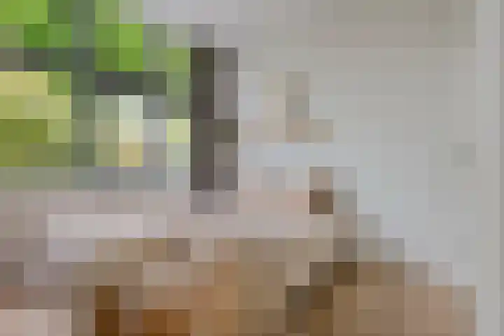 Jutfaseweg 202 H Utrecht thumbnail 17