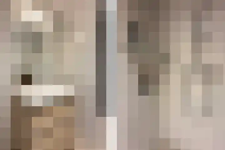 Jutfaseweg 202 H Utrecht thumbnail 19