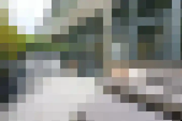 Jutfaseweg 202 H Utrecht thumbnail 20
