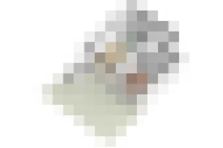 Jutfaseweg 202 H Utrecht thumbnail 32