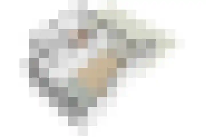 Jutfaseweg 202 H Utrecht thumbnail 33