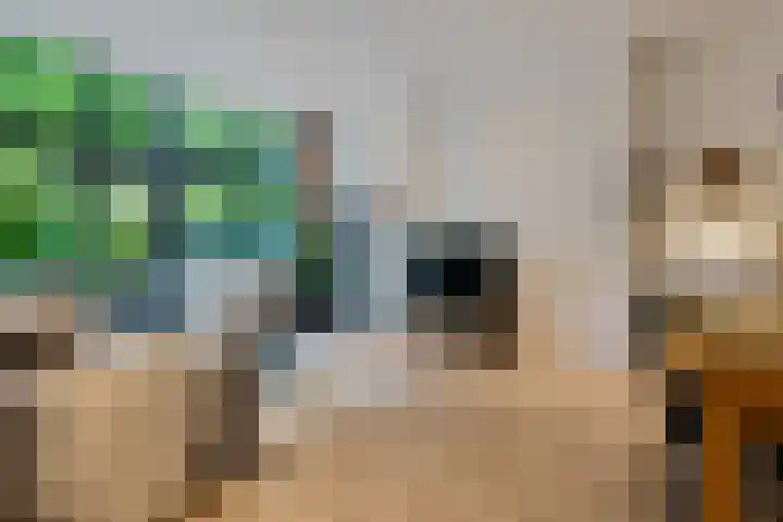 Jutfaseweg 202 H Utrecht thumbnail 6