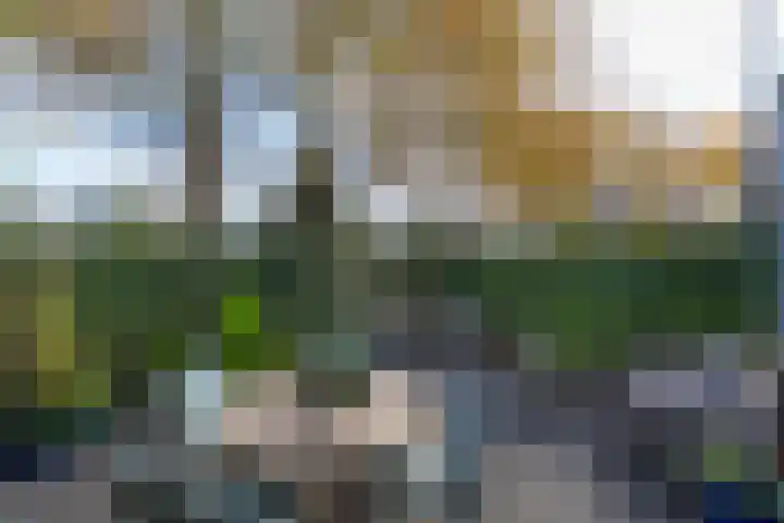 Jutfaseweg 202 Utrecht thumbnail 13