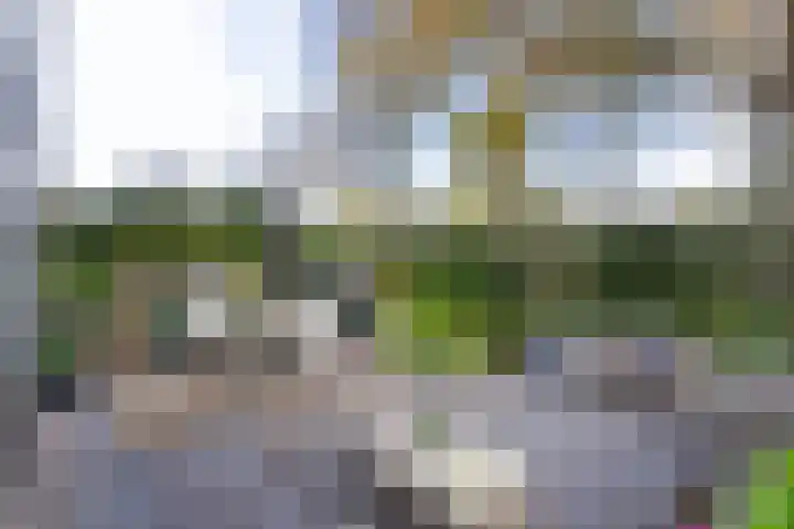 Jutfaseweg 202 Utrecht thumbnail 16
