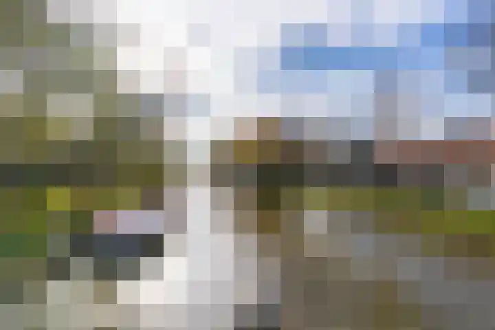 Jutfaseweg 202 Utrecht thumbnail 34