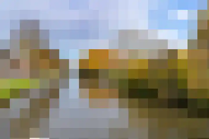 Jutfaseweg 202 Utrecht thumbnail 35