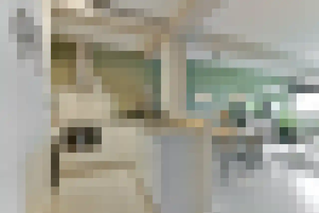 Jutfaseweg 203 C Utrecht thumbnail 13