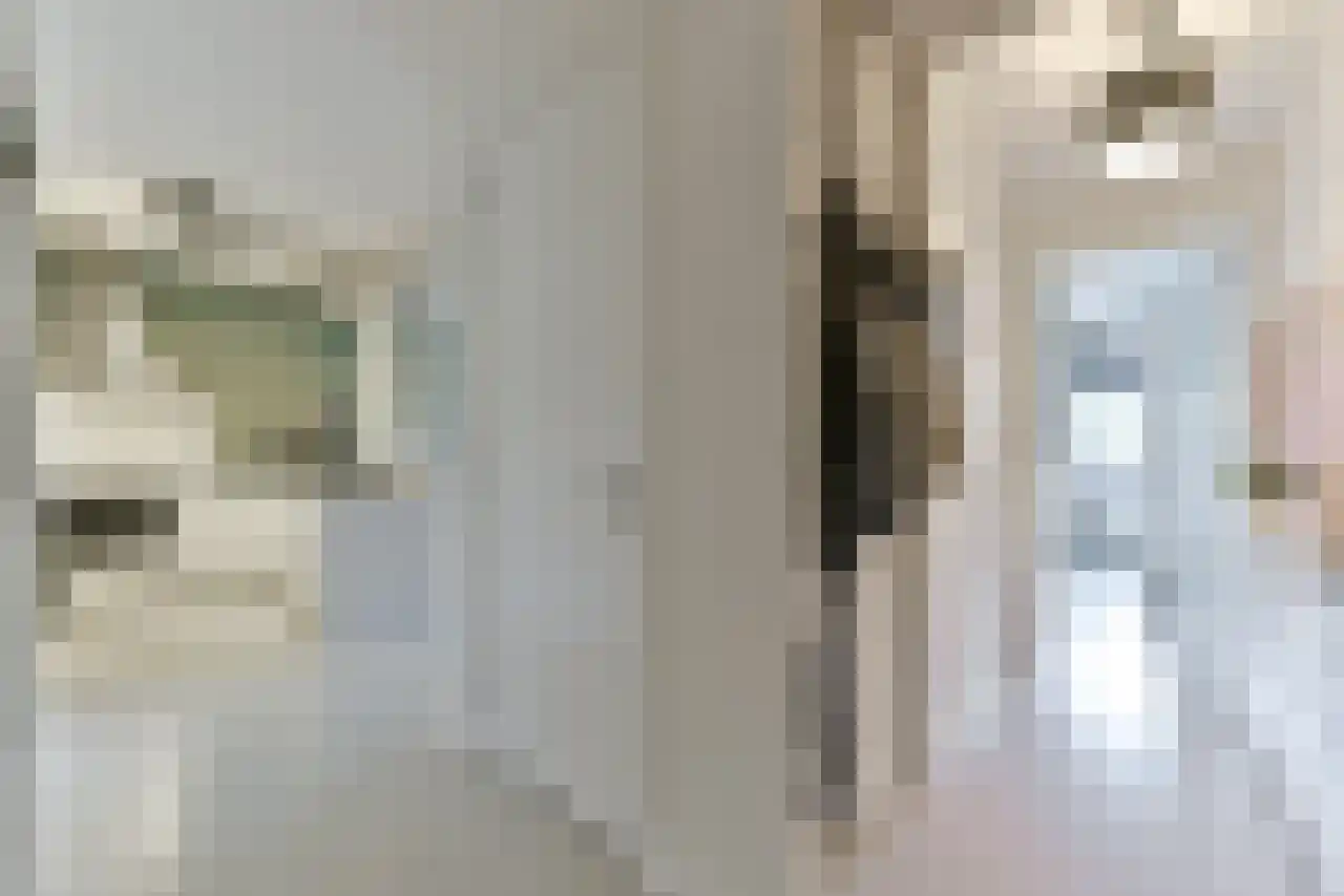 Jutfaseweg 203 C Utrecht thumbnail 16