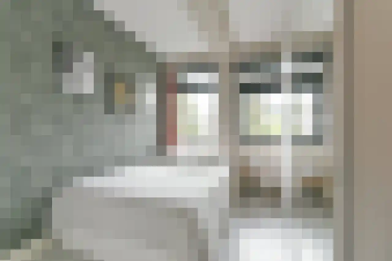 Jutfaseweg 203 C Utrecht thumbnail 19