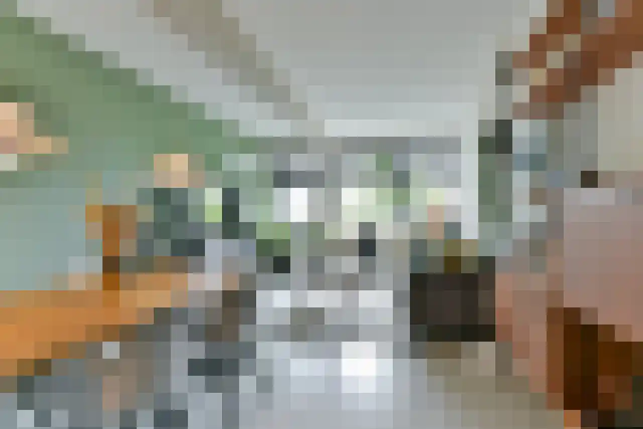 Jutfaseweg 203 C Utrecht thumbnail 5