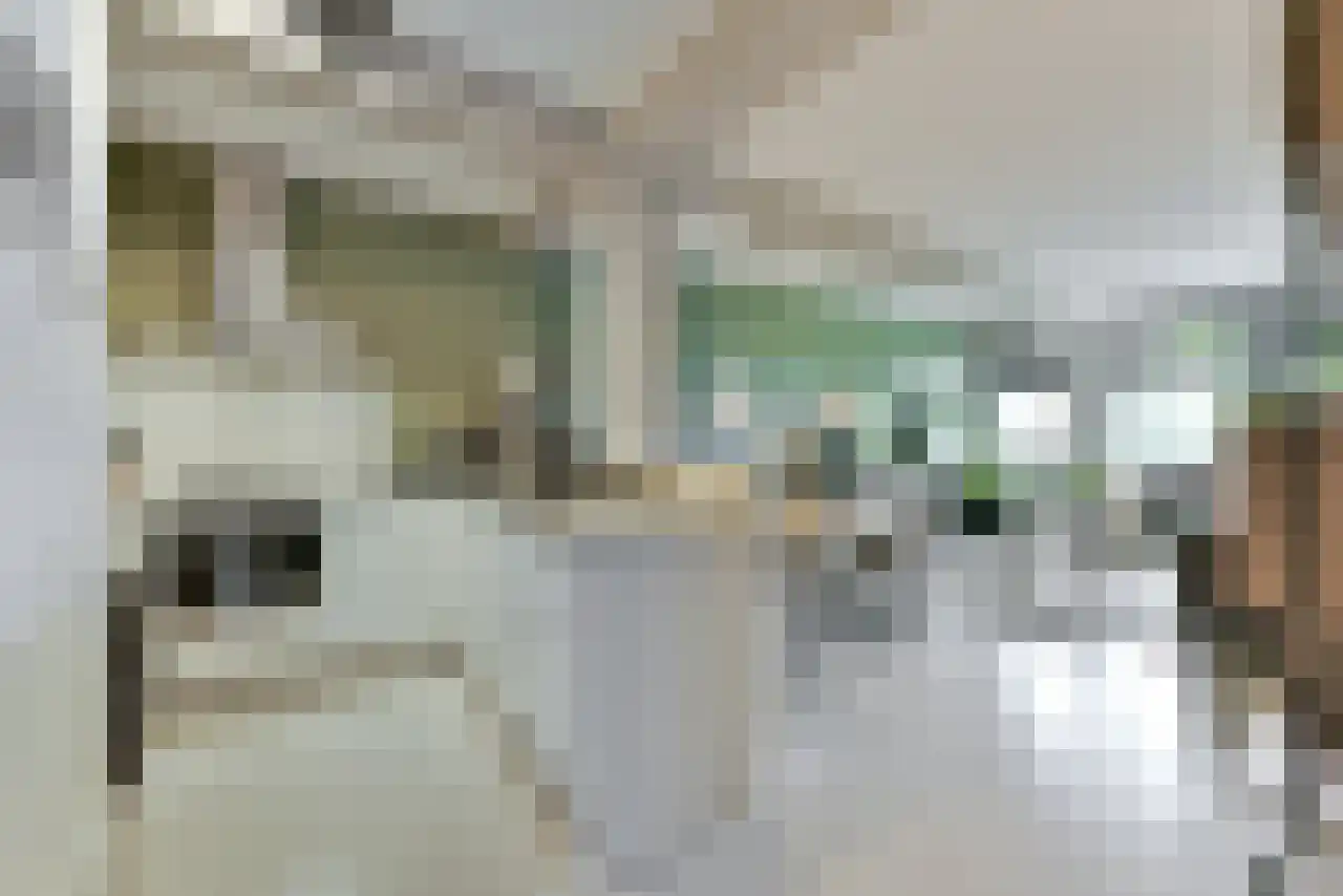 Jutfaseweg 203 C Utrecht thumbnail 6