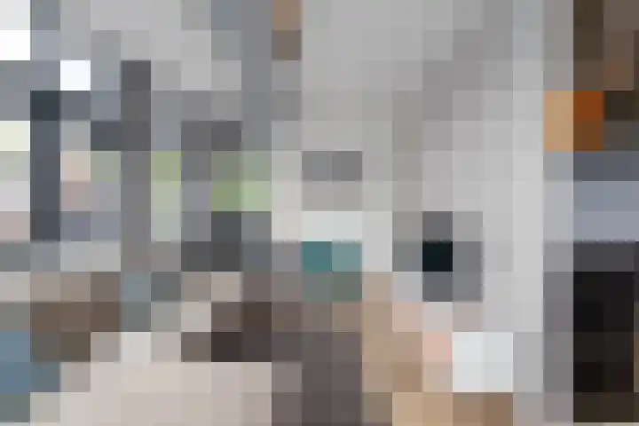 Jutfaseweg 203 E Utrecht thumbnail 11