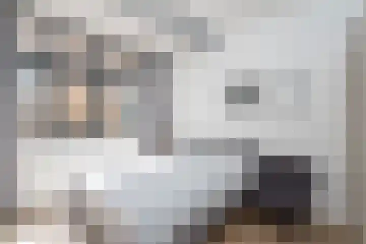 Jutfaseweg 203 E Utrecht thumbnail 12