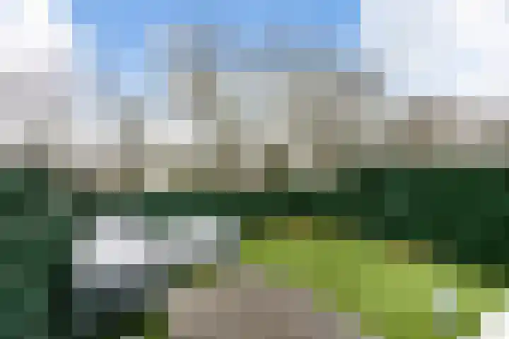 Jutfaseweg 204 D Utrecht thumbnail 21