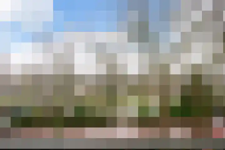 Jutfaseweg 204 D Utrecht thumbnail 23