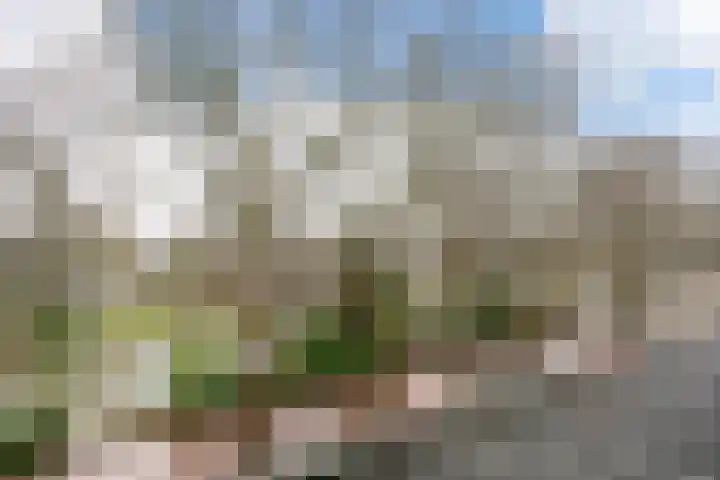 Jutfaseweg 204 D Utrecht thumbnail 24