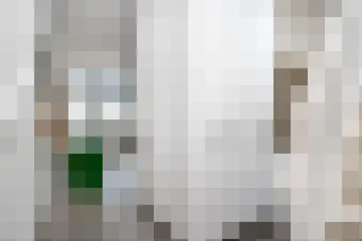 Jutfaseweg 204 D Utrecht thumbnail 6
