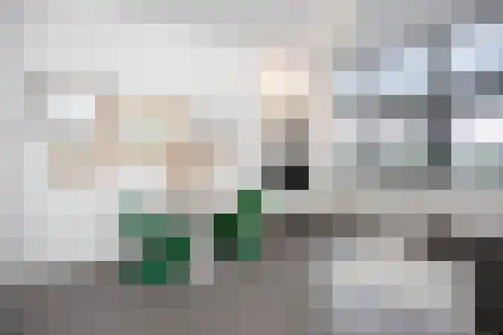 Jutfaseweg 204 D Utrecht thumbnail 8