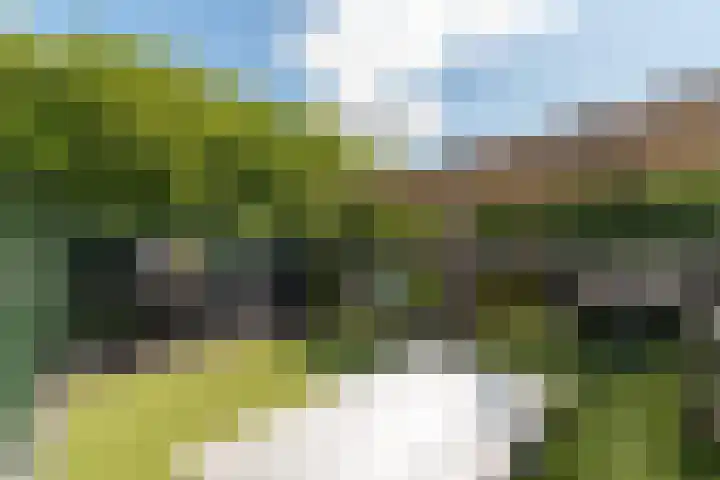 Jutfaseweg 204 H Utrecht thumbnail 24