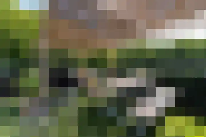 Jutfaseweg 204 H Utrecht thumbnail 25