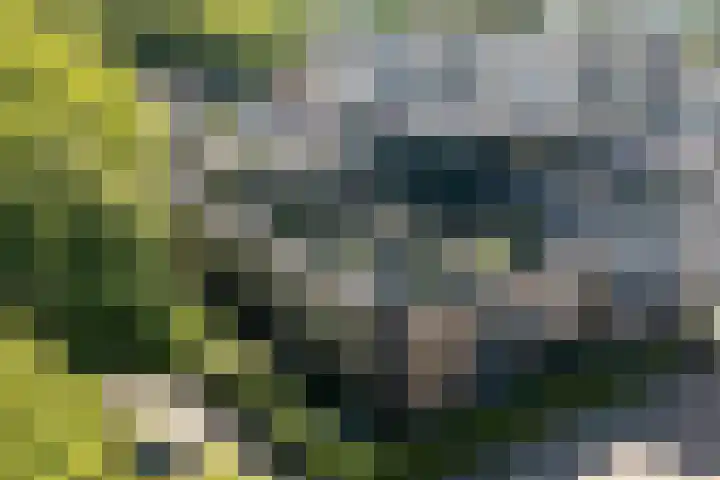 Jutfaseweg 204 H Utrecht thumbnail 30
