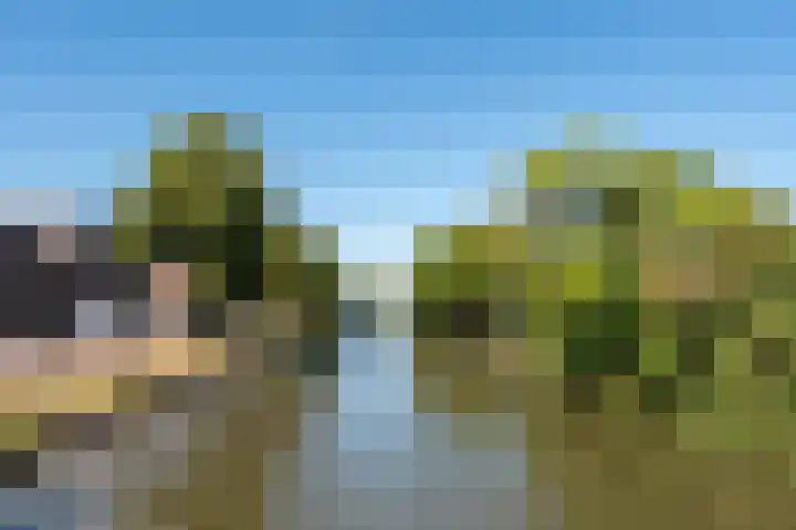 Jutfaseweg 204 H Utrecht thumbnail 34