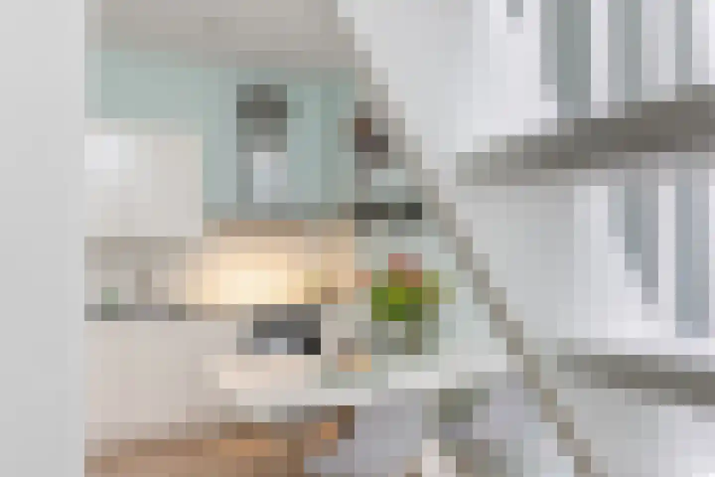 Jutfaseweg 204 Utrecht thumbnail 22