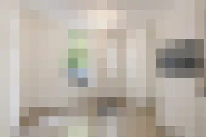 Jutfaseweg 219 D Utrecht thumbnail 11