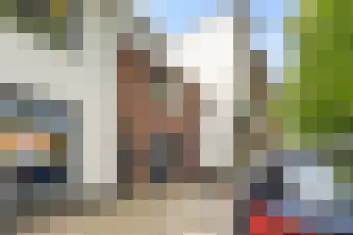 Jutfaseweg 219 D Utrecht thumbnail 15