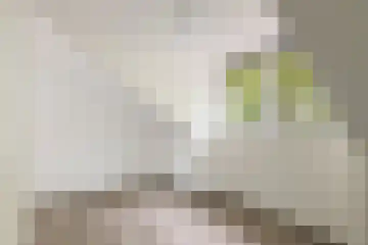 Jutfaseweg 219 K Utrecht thumbnail 17