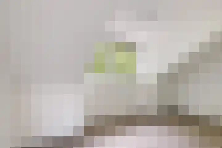 Jutfaseweg 219 K Utrecht thumbnail 18