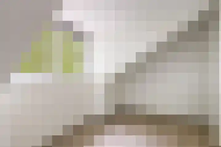 Jutfaseweg 219 K Utrecht thumbnail 19