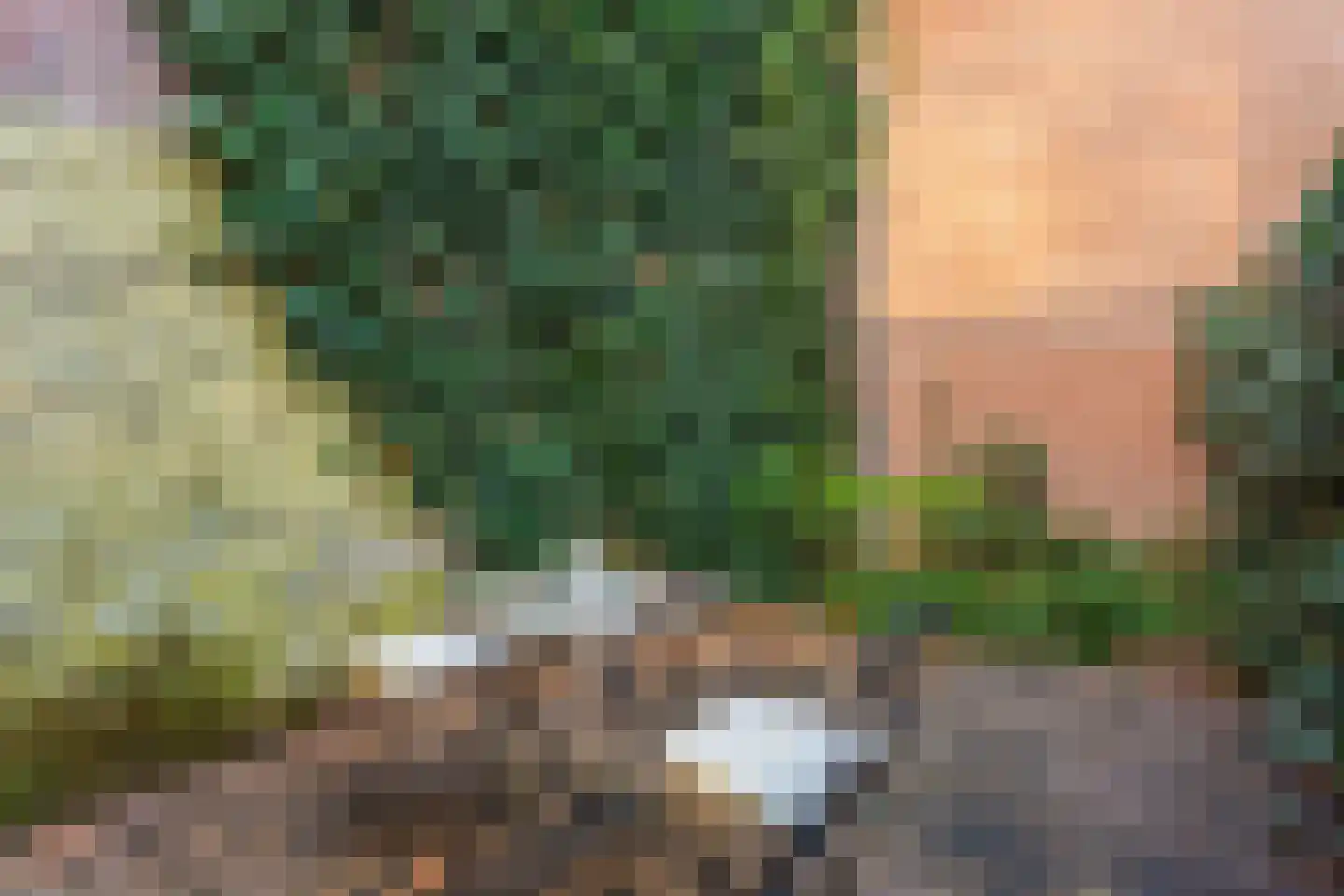 Jutfaseweg 222 G Utrecht thumbnail 17