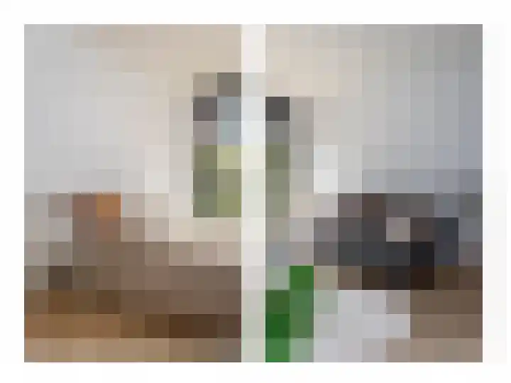 Jutfaseweg 223 16 Utrecht thumbnail 12