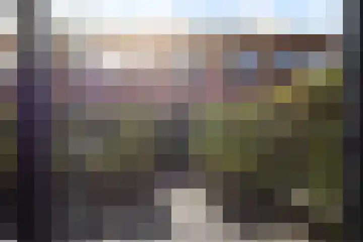 Jutfaseweg 223 16 Utrecht thumbnail 16