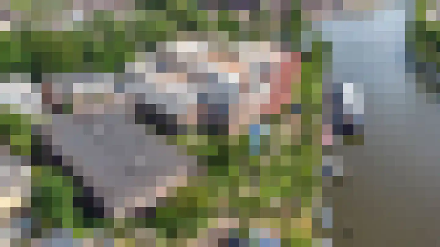Jutfaseweg 223 18 Utrecht thumbnail 20