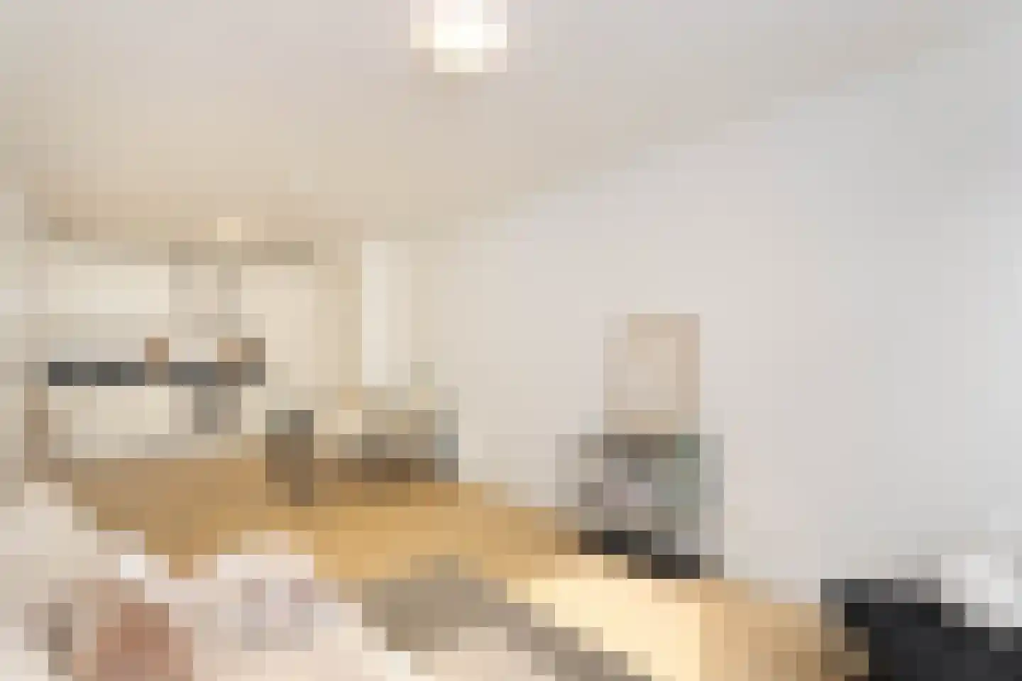 Jutfaseweg 223 33 Utrecht thumbnail 6