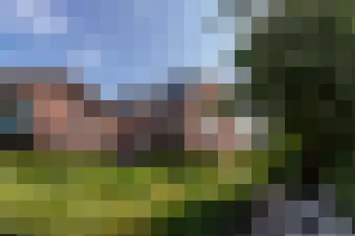 Jutfaseweg 223 34 Utrecht thumbnail 16