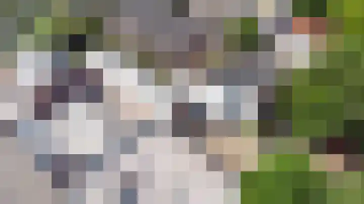 Jutfaseweg 223 46 Utrecht thumbnail 18