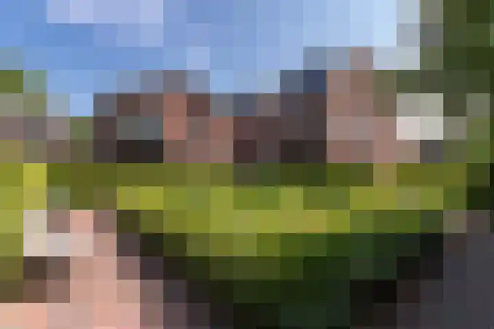 Jutfaseweg 223 9 Utrecht thumbnail 13
