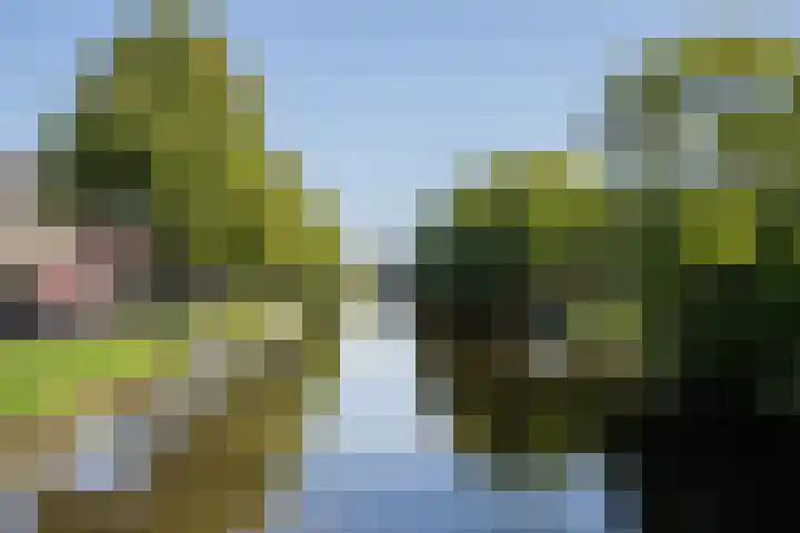 Jutfaseweg 223 9 Utrecht thumbnail 16