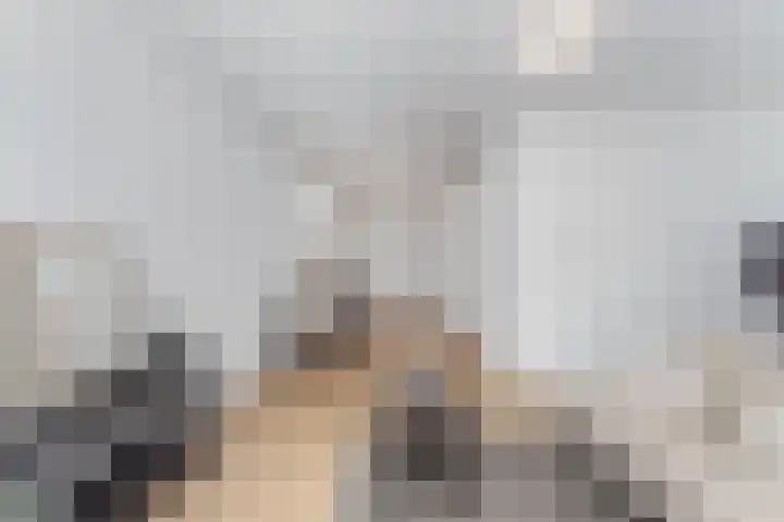 Jutfaseweg 223 9 Utrecht thumbnail 4