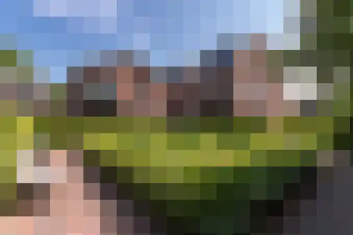 Jutfaseweg 223 Utrecht thumbnail 17