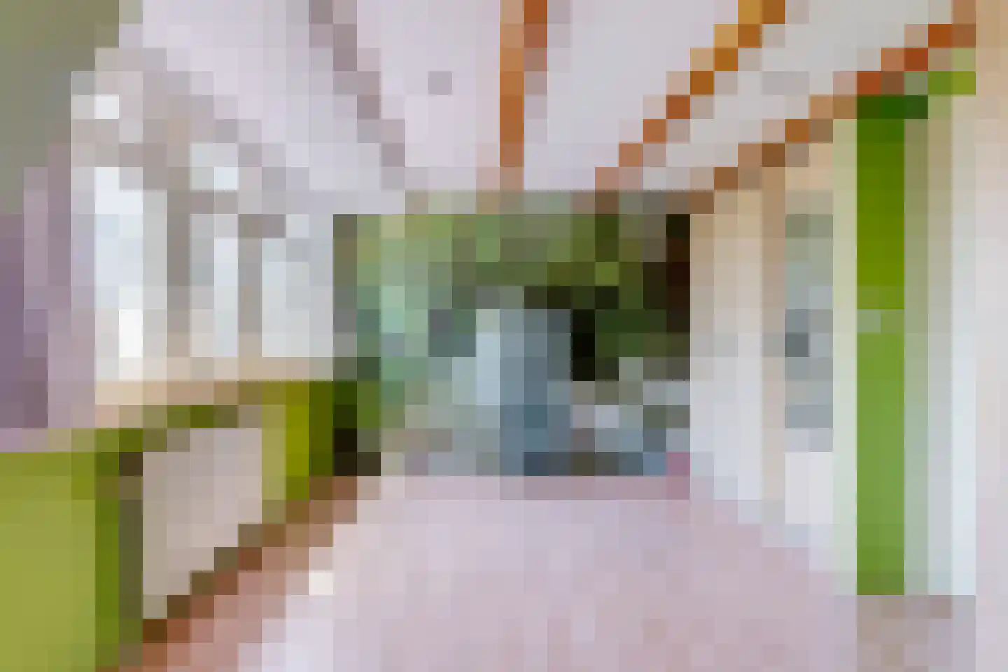 Jutfaseweg 34 Utrecht thumbnail 35