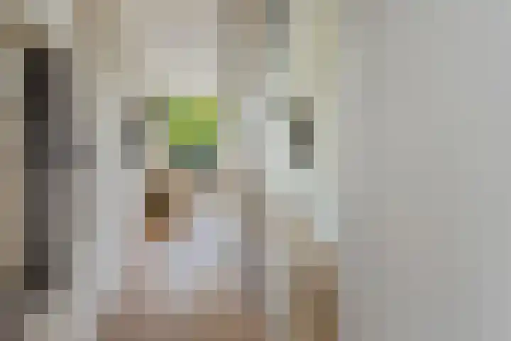 Jutfaseweg 37 G Utrecht thumbnail 11