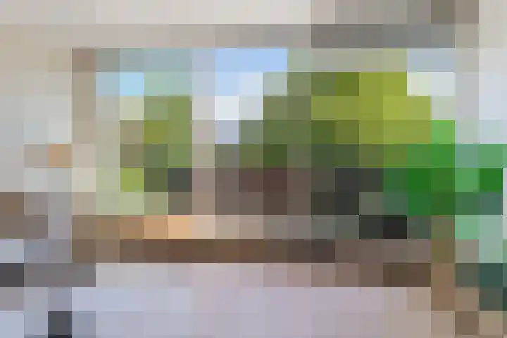 Jutfaseweg 37 G Utrecht thumbnail 14
