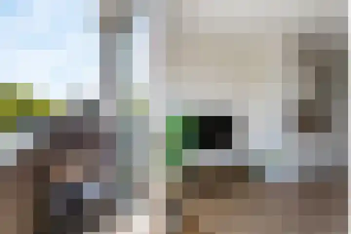 Jutfaseweg 37 G Utrecht thumbnail 16