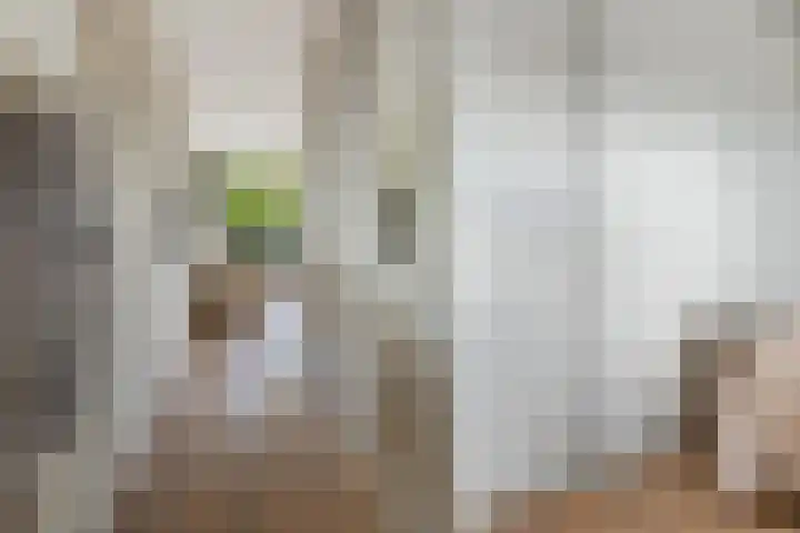 Jutfaseweg 37 G Utrecht thumbnail 23